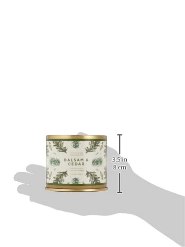 Illume Balsam & Cedar Vanity Tin Candle 11.8 oz – Holiday Collection, 50 HR Burn