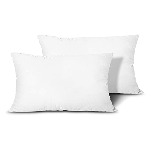 12x20 Inch Throw Pillow Inserts, Set of 2 Polyester Decorative Pillows