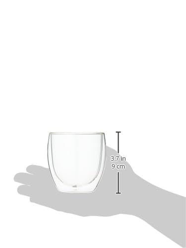 Double Walled Insulated Glass Tumblers, 12 oz Set of 2