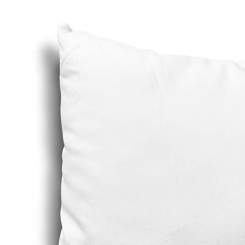 12x20 Inch Throw Pillow Inserts, Set of 2 Polyester Decorative Pillows