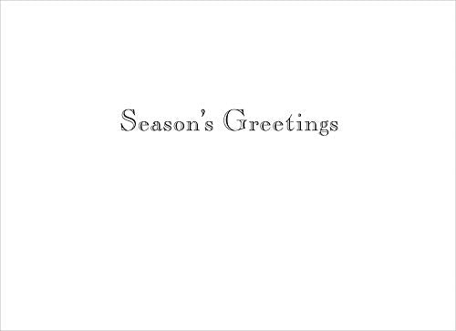 Polar Bear Christmas Cards Boxed With Envelopes, 12 Holiday Cards & 12 Envelopes, USA Made
