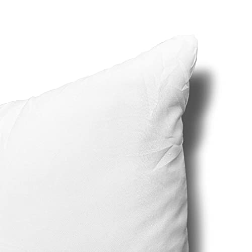 12x20 Inch Throw Pillow Inserts, Set of 2 Polyester Decorative Pillows