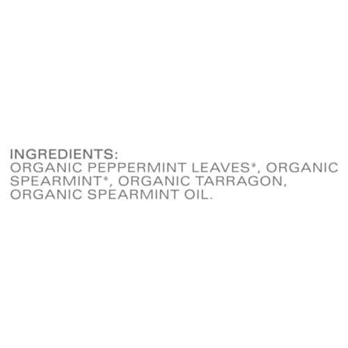 TAZO Refresh Mint Herbal Tea Bags, Caffeine Free, 96 Total Tea Bags (16ct - Pack of 6)