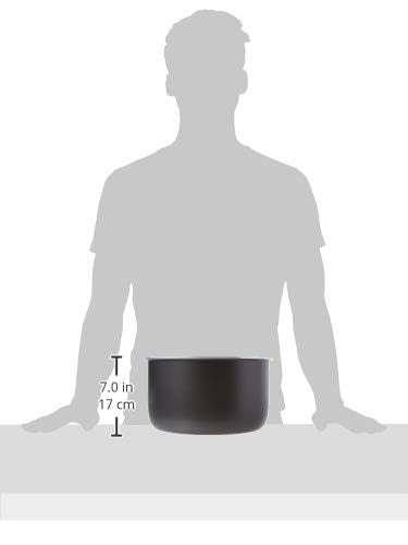 Ninja Foodi 6.5-Quart Ceramic Nonstick Inner Pot - Dishwasher Safe, Compatible with All Ninja Foodi 6.5 Qt. Models