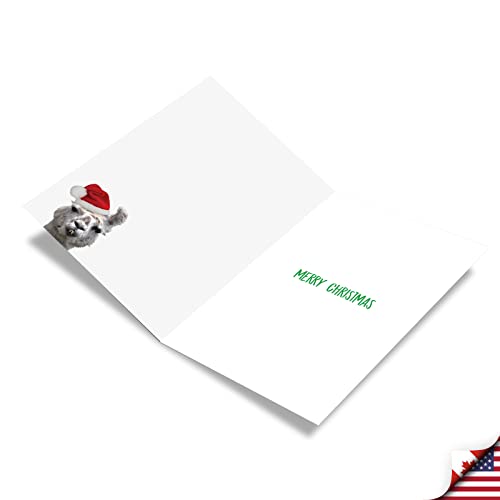 Llama Front Teeth Christmas Card - Humorous Holiday Greeting, 5x7
