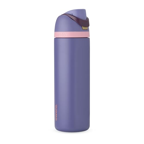 24 oz Insulated Stainless Steel Water Bottle with FreeSip Spout - Blue Jay