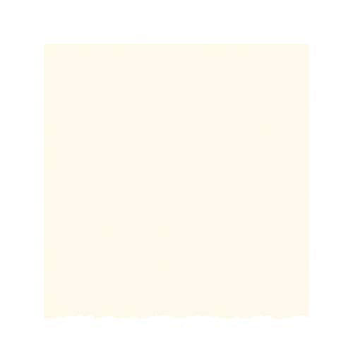 Strathmore Creative Cards, Ivory with Deckle Edge, 5x6.875 inches, 100 Pack, Envelopes Included - Blank Greeting Cards for Weddings, Events, Birthdays