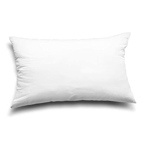12x20 Inch Throw Pillow Inserts, Set of 2 Polyester Decorative Pillows
