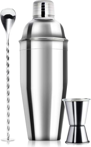 24oz Stainless Steel Cocktail Shaker Set with Built-in Strainer