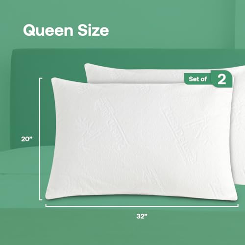 Waterproof Queen Pillow Protector Set - Bamboo Viscose Zippered Cover