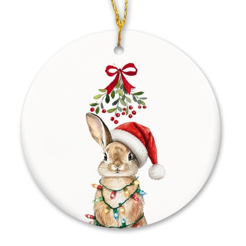 MIBEZE Santa Bunny Christmas Ceramic Ornament Gift - Variation 71