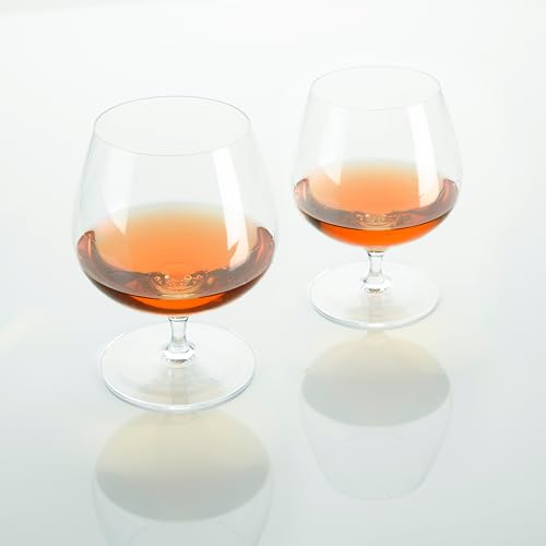 Viski Cognac Glass Set - Wingback Brandy Glasses for Whiskey & Cocktails, 17oz, Set of 2