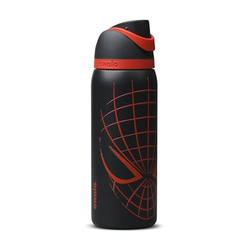 Insulated Stainless Steel Water Bottle with FreeSip Spout 32 oz