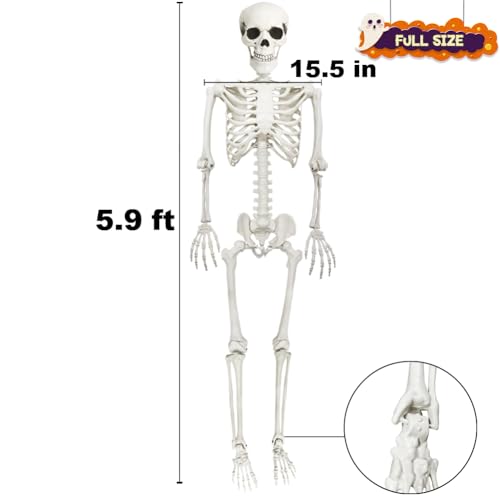 Life-Size Halloween Skeleton Decor with Posable Joints & Glowing Eyes - 5.9ft