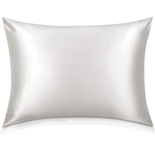 22 Momme 100% Mulberry Silk Pillowcase - Standard Size, Ivory White
