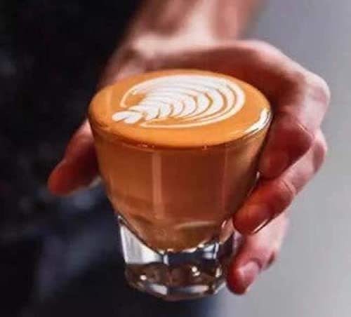 4.5 oz Cortado Rocks Glasses Set of 2 with Coasters