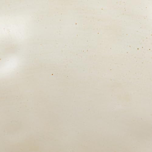 Creative Co-Op Stoneware Bowl w Reactive Glaze, White