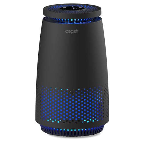Compact Air Purifier for Bedroom with HEPA Filter Sleep Mode and Aromatherapy