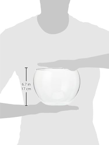3.5L Heat Resistant Glass Punch Bowl - 22cm Diameter Serving Bowl