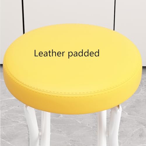 Portable Folding Stool with Backrest and Padded Leather Cushion