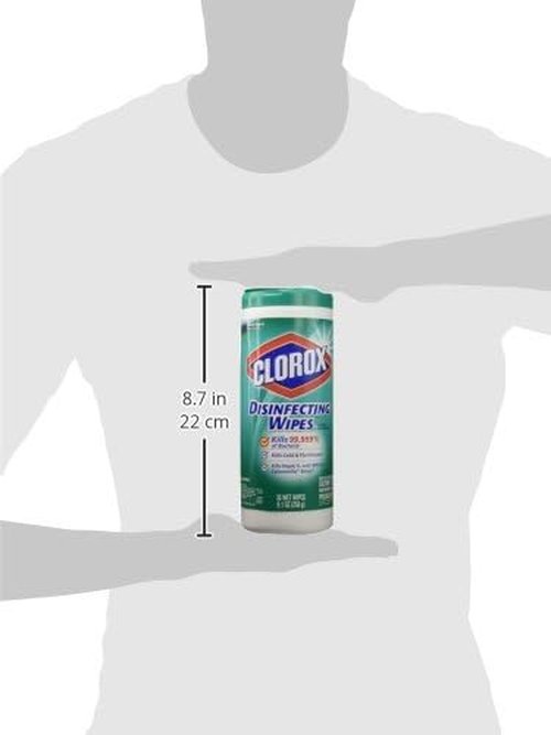 Clorox Wet Wipes - Lemon Fresh Scent for Effective Cleaning | 3 Count Pack