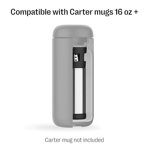 Fellow Carter Stainless Steel Tea Infuser for Loose Leaf & Cold Brew - 16 oz