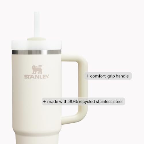 Insulated Stainless Steel Travel Tumbler 30 oz with Handle and Straw