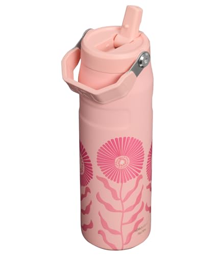 STANLEY IceFlow Flip Straw 2.0 Water Bottle 24 oz Insulated Stainless Steel