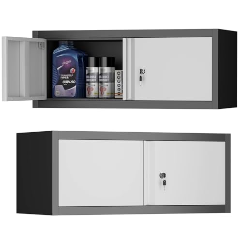 Metal Wall-Mounted Locking Cabinet, 12.8-Inch Steel Garage Storage Unit