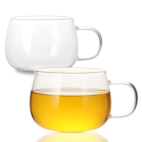 GURUDAR 12OZ/360ML Set of 2 Borosilicate Glass Tea Cups with Handles - Microwave & Dishwasher Safe