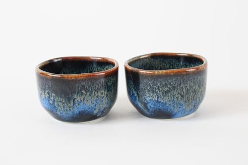 Japanese Mino Ware Sake Set - 1 Bottle & 2 Cups, Traditional Ceramic Drinkware