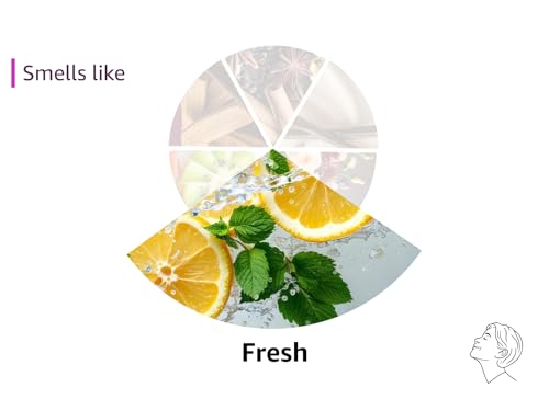 Aquinelle Toilet Tissue Mist, Eco-Friendly & Non-Clogging Alternative to Flushable Wipes Simply Spray On Any Folded Toilet Paper (3-8.25 oz Ocean Breeze)