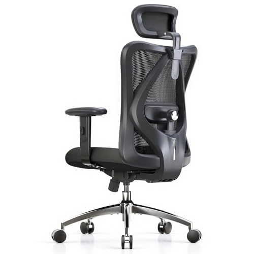 Ergonomic Mesh Office Chair with Headrest & Adjustable Lumbar Support