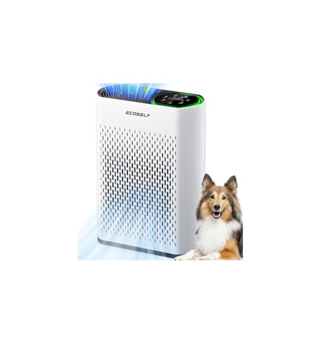 Large Room Air Purifier with True HEPA Filter and Air Quality Display