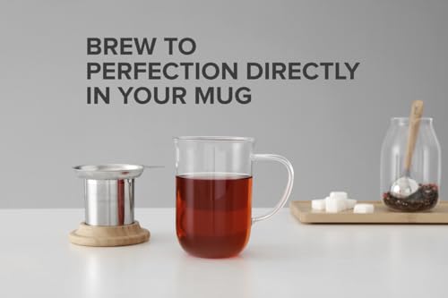 VIVA Minima Eva Glass Tea Cup with Infuser & Lid - Wool Grey, 14 oz