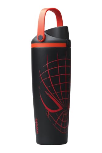 Insulated Stainless Steel Water Bottle with 2-in-1 Spout 30 oz