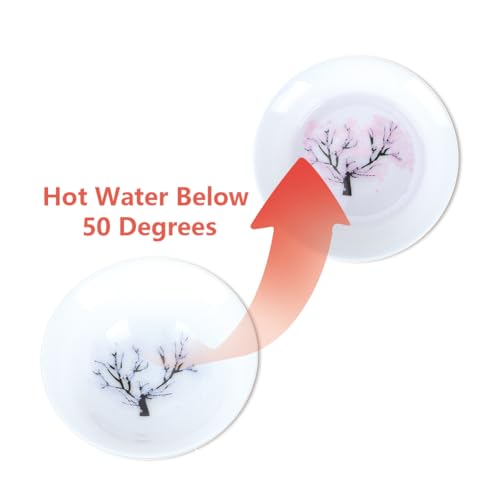 Joyzan Color Changing Sake Cup with Blossom Design - Hot & Cold Reactive Ceramic Bowl