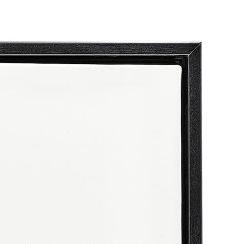 Vintage Dandelion Botanical Wall Art - Black Canvas in Floater Frame - 20"L x 16"W