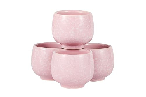 Hinomaru Collection Pink Plum Blossom Japanese Sake Set with 9oz Bottle & 4 Cups