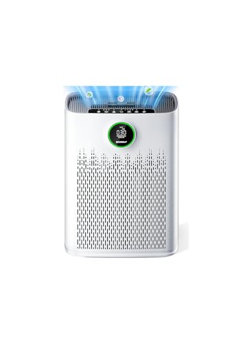 Large Room Air Purifier with True HEPA Filter and AQI Display