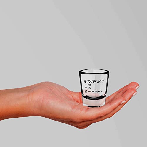 Funny Is You Drunk Shot Glass - Humorous Drinking Gift for Men & Women