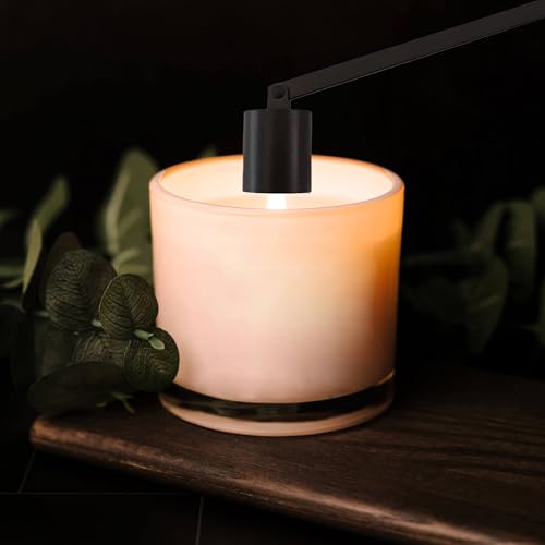Candle Snuffer Extinguisher with Long Handle - Black Stainless Steel