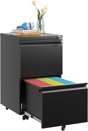 2-Drawer Locking File Cabinet, Heavy-Duty Metal Rolling Office Storage