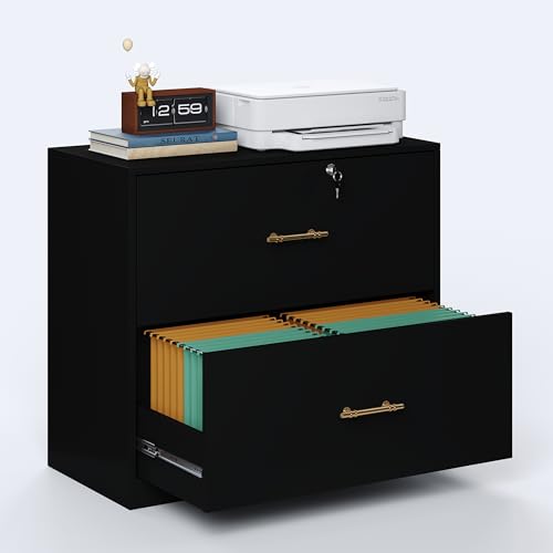 2-Drawer Lateral File Cabinet with Lock, Wood Printer Stand for Home Office