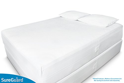 Queen Size Waterproof Box Spring Encasement - Bed Bug Proof & Hypoallergenic