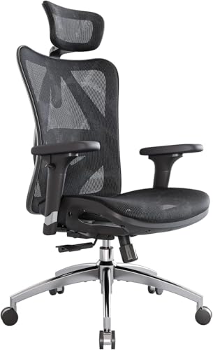 Ergonomic Office Chair with Mesh Back, Lumbar Support & 3D Armrests - Black