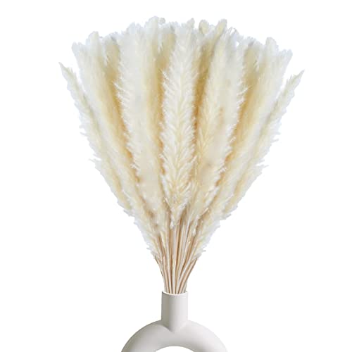30 Pcs Natural Dried White Pampas Grass - 17 Inch Fluffy Floral Decor