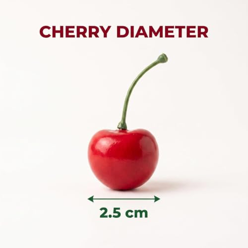 20 Pcs Artificial Red Cherries - Lifelike Fruit Decor for Home & Party