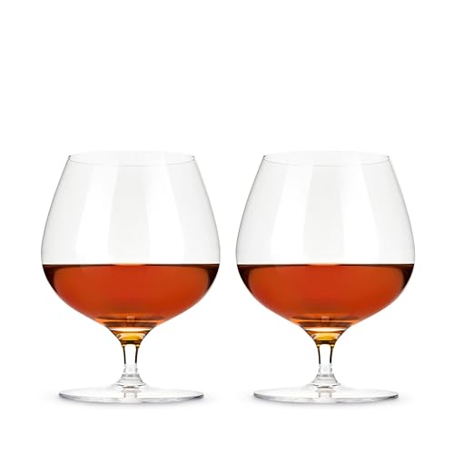 Viski Cognac Glass Set - Wingback Brandy Glasses for Whiskey & Cocktails, 17oz, Set of 2
