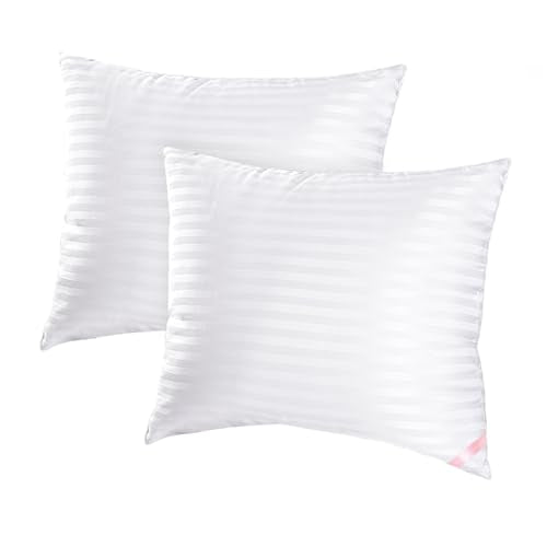 EIUE 20x20 Throw Pillow Inserts (2-Pack) - Soft Polyester Cushion Forms